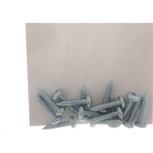 Cartela Parafuso Auto/Atarrachante Panela Preguim 4,2 X 19Mm Com 15 Pecas 4010