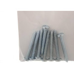 Cartela Parafuso Auto/Atarrachante Panela Preguim 4,8 X 48Mm Com 08 Pecas 1248