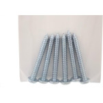Cartela Parafuso Auto/Atarrachante Panela Preguim 5,5 X 45Mm Com 06 Pecas 1293