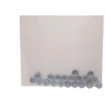 Cartela Porca Torneada Preguim Zincada  5/32'' Nc Com 20 Pecas 1712