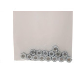 Cartela Porca Torneada Preguim Zincada  3/16'' Nc Com 15 Pecas 1729