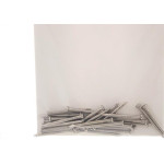 Cartela Prego Aco Preguim Com Cabeca  10X10 (1,50X23mm) Com 25 Pecas 1934
