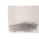Cartela Prego Aco Preguim Com Cabeca  17X21 (3,00X48mm) Com 12 Pecas 1972