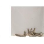 Cartela Escapula Bicromatizada Preguim 16X30 Com 08 Pecas 0425