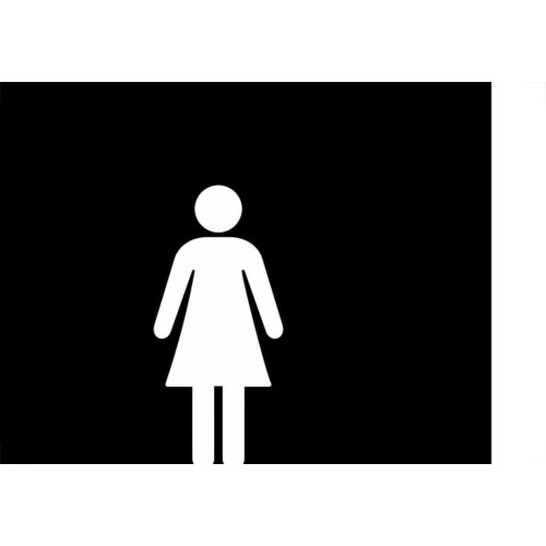 Placa Sinalizacao Poliestireno 15X18 ''Feminino (Portugues/Ingles)'' Blk03