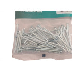 Prego Aco Sforplast Com Cabeca  17X24 (3,00X55mm)   100pcs 