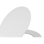 Assento Sanitario Astra Popular Branco Tpg*Br1