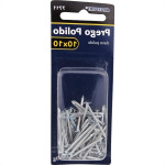 Cartela Prego Aco Polido Brasfort Com Cabeca  10X10 (1,50X23mm) Cartela Com 30 Gramas 7711
