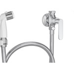 Ducha Higienica Deca Cromada Flex Plus Com Registro E Derivacao 1984.C21.Act.Clm