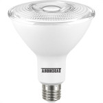 Lampada Led Par38 Taschibra 14W 2700K 