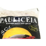 Estopa Pauliceia Para Limpeza 200G 1134