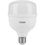 Lampada Led Bulbo Taschibra 80W 6500K E40 