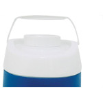 Botijao Termico Com Torneira Fortline 4L Azul 
