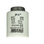 Fusivel Dz Jng 02A.......