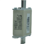 Fusivel Nh Jng 00C/100A..