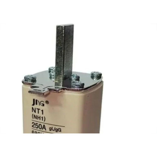 Fusivel Nh Jng 01/250A...