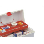 Caixa Medicamento Laguna Grande Em-250