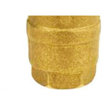 Valvula Retencao Vertical Metal Metrox  1'' 6975