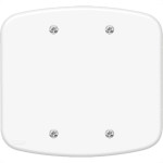 Placa Fame''Blanc''4X4 (Cega) 