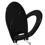 Astra Assento  Oval Pop Tpg Pr1
