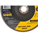 Ranger Disco Flap  7 X 60 - Kit C/5 Un