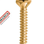 Jomarca Diversas Parafuso A.A Broc Ch Dentado Ph 4,0X50