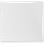 Radial Placa  Ouro Branca 4X4 Cega