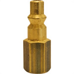 Garden Pino P/Engate Rapido  Femea 1/4