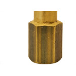 Garden Pino P/Engate Rapido  Femea 1/4