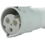 Steck Acopl. 2P+T 32A Azul 3256 Ip44