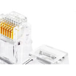 Interneed Plug Rj-45 (8X8) C/100