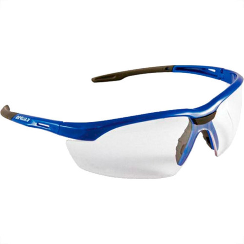 Kalipso Oculos Protecao Kalip.Veneza Incolor