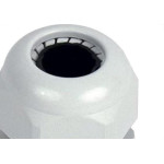 Steck Prensa Cabo Bsp 8452 1/2 - Kit C/10 Pc