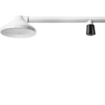 Chuveiro Frio Com Registro Paulina 10'' Branco