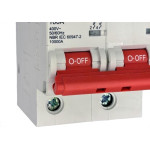 Disjuntor Steck ''Din'' Bipolar 100A. C