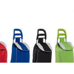 Carrinho De Bagagem Com Bolsa De Lona Color