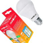 Lampada Led Bulbo Ourolux A60 - 15W. 6500K.