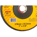 Disco Flap Thompson 7'' - Grao 100