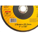 Disco Flap Thompson 7'' - Grao 50