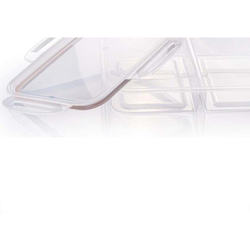 Pote Plastico Plasutil Com 2 Divisorias Hermetico Transparente Com Borracha - 13084