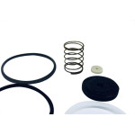 Reparo Para Valvula Lorenzetti P/20 Original