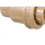 Valvula Retencao Pvc Higiban Rosca 3/4''