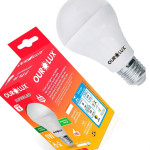 Lampada Led Bulbo Ourolux A60 - 9W. 6500K.