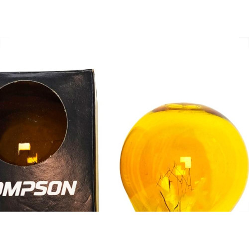 Lampada Colorida Thompson 15Wx127V. Amarela - Kit C/10 Pecas