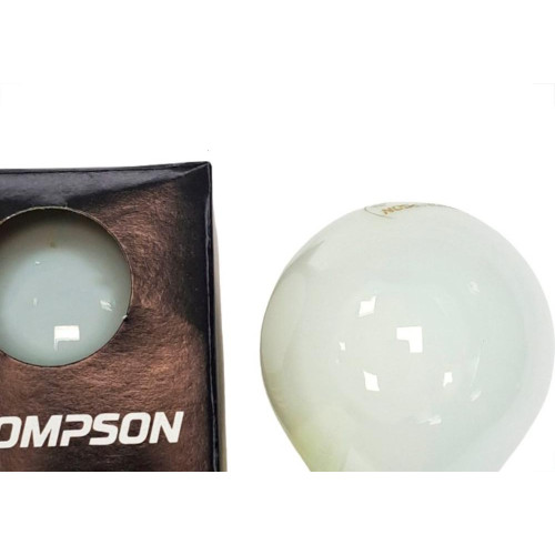 Lampada Colorida Thompson 15Wx127V. Leitosa - Kit C/10 Pecas