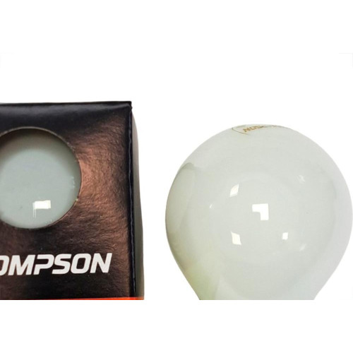Lampada Colorida Thompson 15Wx220V. Leitosa - Kit C/10 Pecas