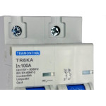 Disjuntor Tramontina ''Din'' Bipolar 100A. C