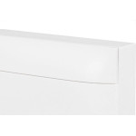 Centrinho Legrand Pvc Sobrepor Para 12 Disjuntores Din Sem Barramento Branco