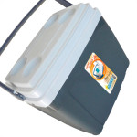 Caixa Termica Antares 16Lt Std