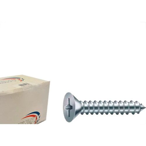 Parafuso Aa. Chata Phillips Nfix 5,5 X 45 - Kit C/2 Centos
